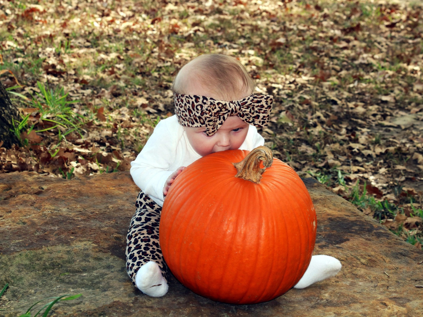 Download wallpaper girl, pumpkin, bow, section mood in resolution 1400x1050...