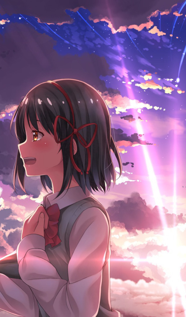 Download wallpaper girl, sunset, anime, art, guy, two, Kimi no VA On,  section mood in resolution 600x1024