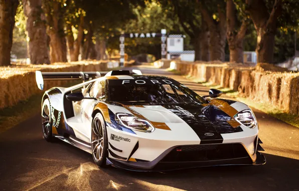 Picture lights, Ford, Ford GT, sports car, Mk II