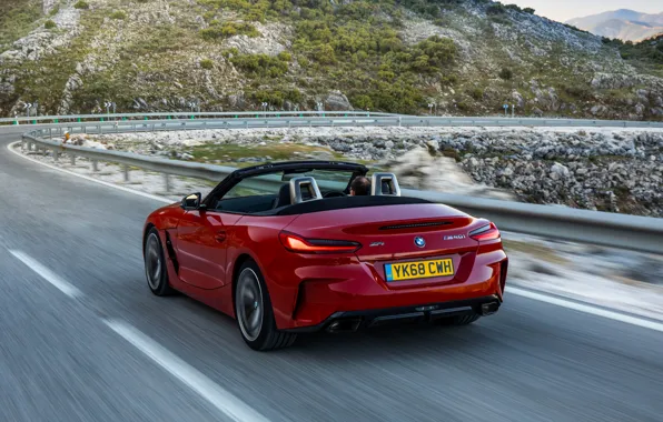 Picture red, BMW, Roadster, rear view, BMW Z4, M40i, Z4, 2019, UK version, G29