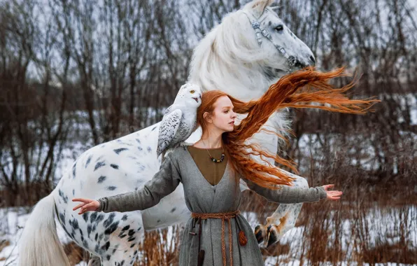 Picture winter, girl, pose, horse, bird, horse, hands, red, redhead, long hair, snowy owl, white owl, …
