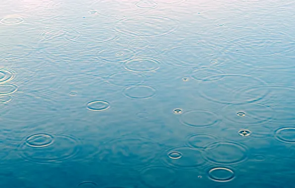 Picture water, drops, macro, rain, rain, water, drops, raindrops