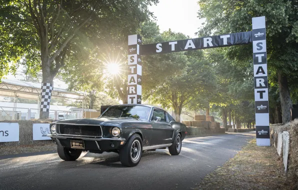Picture Ford, Fastback, 2018, 1968, Mustang GT, Bullitt, Goodwood