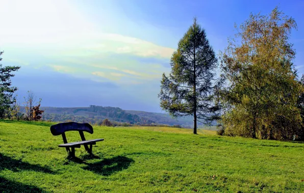 Picture trees, relax, glade, resort, bench, Hungary, Orfű