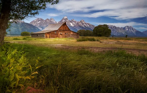 Picture mountains, nature, house