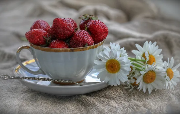 Picture chamomile, strawberry, Cup