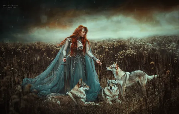 Picture girl, sword, dress, wolves, red, redhead, Marketa Novak, Zuzana Kushniruk