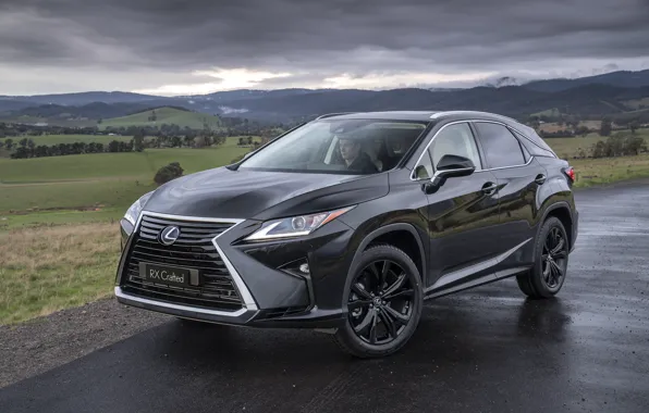Picture Lexus, RX 350, 2019, Crafted