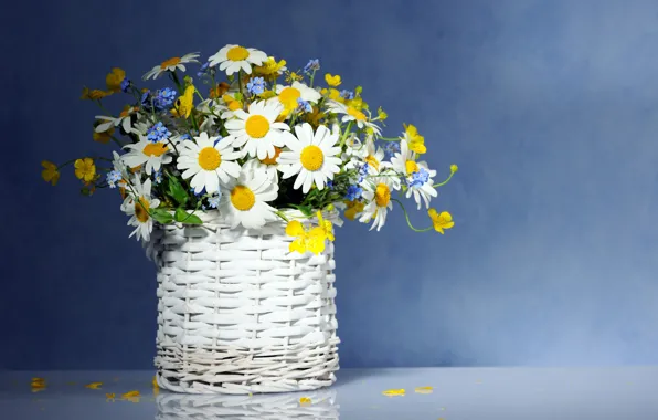 Picture flowers, chamomile, bouquet, basket