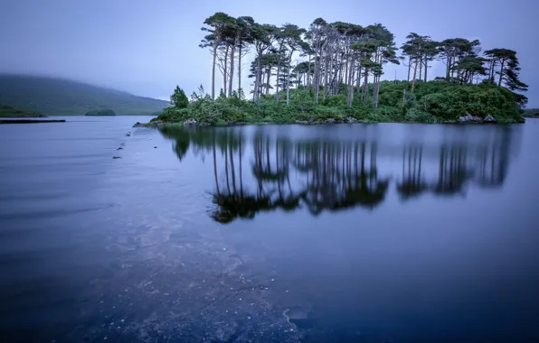 Picture trees, lake, reflection, island, Ireland, Ireland, Connemara, Connemara, Derryclare Lough, Lake Dernekler Goof