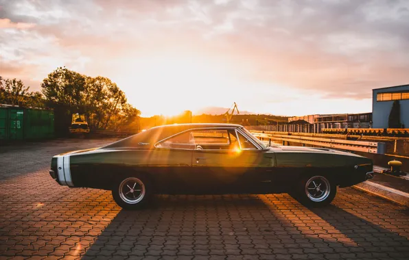 Picture green, 1969, dodge, sunset, charger