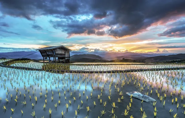 Picture house, sky, landscape, nature, Sunset, water, clouds, sun, hills, plants, hut, rice field