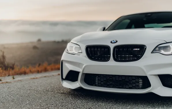 Picture white, before, grille, F87, BMW M2