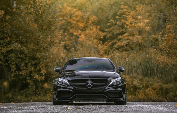 Picture Mercedes, Front, AMG, Black, Autumn, C63, Face, W205, Sight