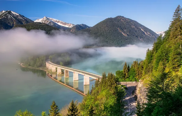 Picture road, forest, trees, mountains, bridge, fog, lake, Germany, Bayern, Germany, Bavaria, Bavarian Alps, The Bavarian …