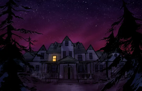 Picture forest, night, house, art, video game, computer game, Gone Home