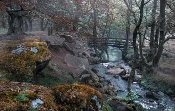 Picture bridge, nature, Park, river, England, Derbyshire Dales District, Grindleford
