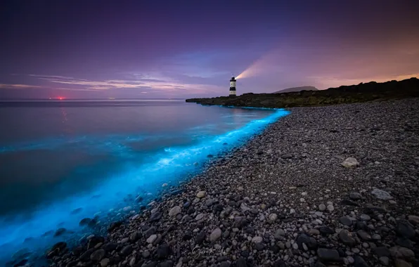 1407 Underwater Bioluminescence Images Stock Photos  Vectors   Shutterstock