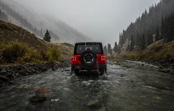 Picture red, rain, overcast, rear view, 2018, Jeep, Wrangler Rubicon