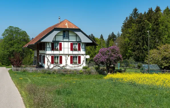 Picture photo, Design, Grass, The fence, Switzerland, House, Mansion, Steinhof