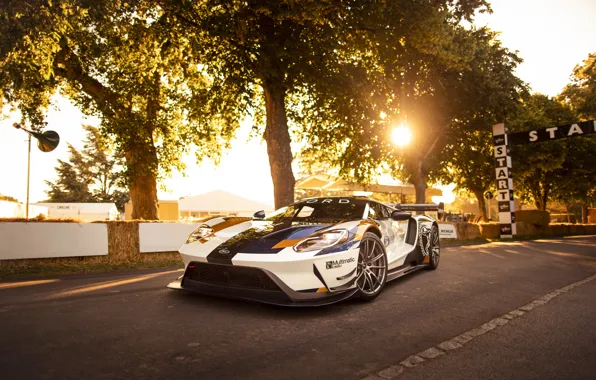 Picture the sun, Ford, Trees, Ford GT, sports car, Mk II