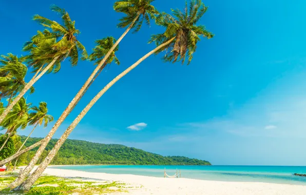 Picture sand, sea, wave, beach, summer, the sky, palm trees, shore, summer, beach, sea, seascape, beautiful, …