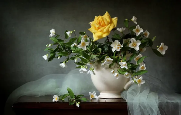 Picture background, Jasmine, tulle, yellow rose
