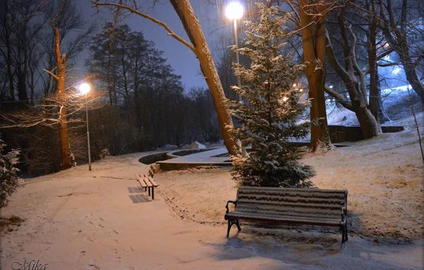 Picture Winter, Night, Snow, Lights, Park, Winter, Night, Park, Snow, Benches