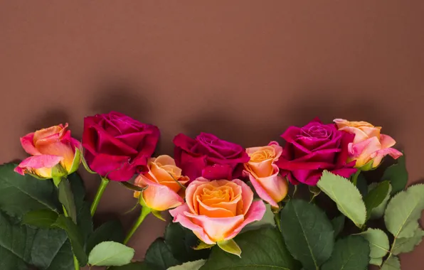 Picture flowers, roses, yellow, pink, buds, yellow, pink, flowers, romantic, roses, cute