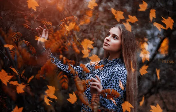Picture autumn, look, leaves, girl, pose, branch, dress, Sergey Piltnik