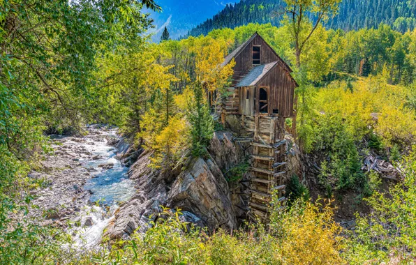 Picture autumn, forest, trees, river, Colorado, water mill, Colorado, Crystal Mill, Crystal River, River Crystal, Кристал-милл