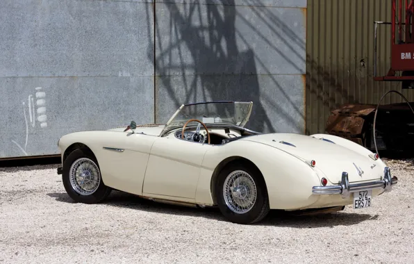 Picture Roadster, The Mans, retro, Austin-Healey 100M
