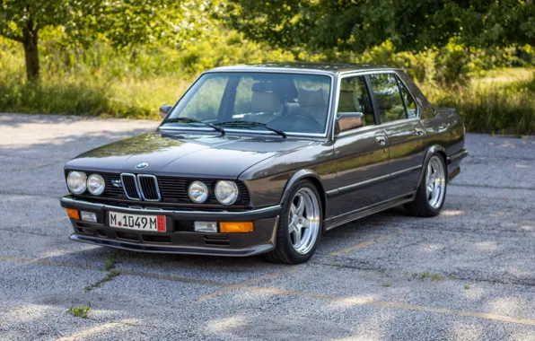 Picture BMW, E28, 5-Series, 535I
