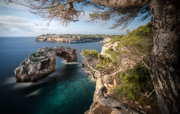 Picture sea, trees, landscape, nature, rocks, Spain, Mallorca