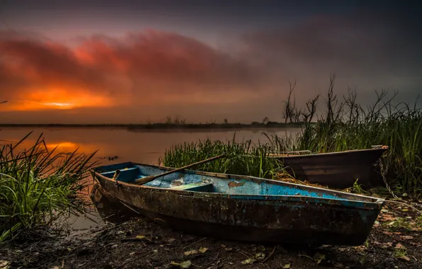 Picture grass, water, landscape, sunset, nature, boats