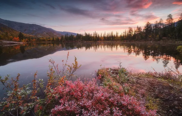 Picture autumn, landscape, mountains, nature, lake, morning, tundra, The Kola Peninsula, Murmansk oblast, The Arctic, Rev …