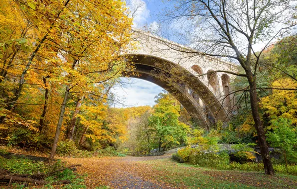 Picture photo, Nature, Autumn, Trees, Leaves, Park, USA, Bridges, Wissahickon, Valley Park