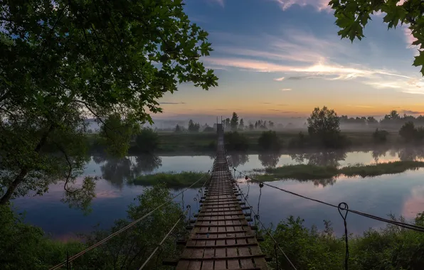 Picture trees, landscape, bridge, nature, fog, river, dawn, morning, Bank, Gums, Alexey Platonov