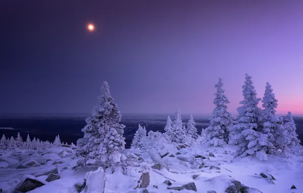 Picture winter, snow, trees, the moon, Russia, Ural, Chelyabinsk oblast, The Ridge Urenga, Tatiana Biryukova