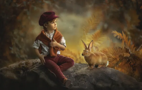 Picture autumn, nature, stones, animal, vegetation, boy, rabbit, child, Jansone Dace