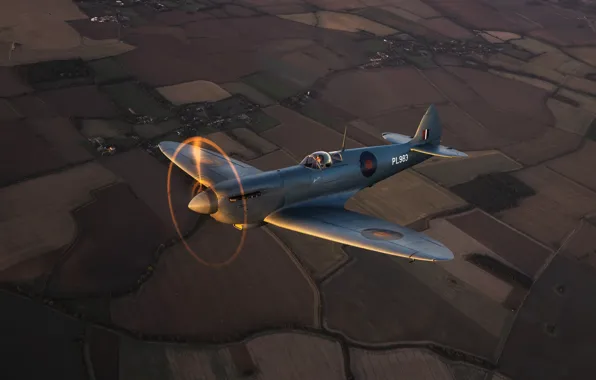 Picture Screw, Fighter, Earth, Spitfire, RAF, The Second World War, Supermarine Seafire, Spitfire PR.Mk XI