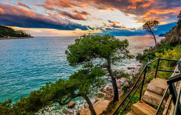 Picture sea, trees, landscape, nature, ladder, Croatia, Dubrovnik