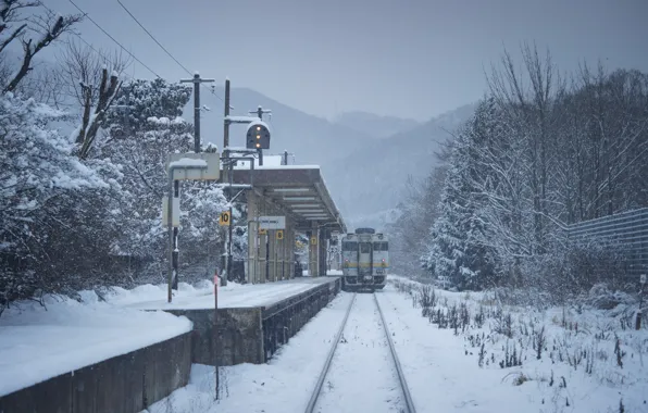 Picture Winter, Japan, Station, Train, Railroad, Landscape