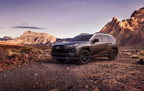 Picture machine, mountains, Toyota, crossover, TRD, Off Road, RAV4, USA version