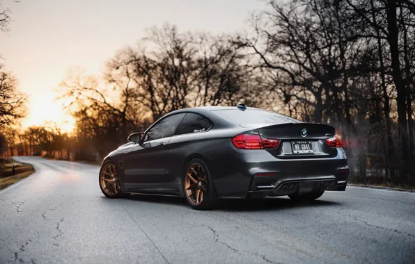 Picture Road, Trees, Machine, Lights, Drives, Icon, F82, Wheel, BMW M4