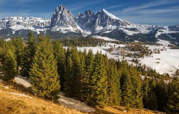 Picture snow, trees, mountains, Italy, South Tyrol, Dolomites, Sassolungo
