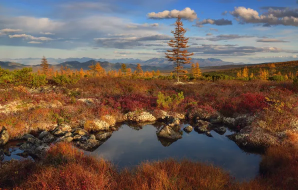 Picture autumn, landscape, mountains, nature, stones, vegetation, pond, Kolyma, Maxim Evdokimov
