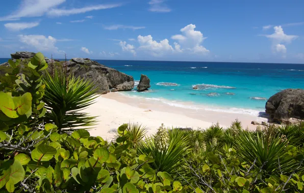 Picture the ocean, coast, Bermuda, South Shore Park