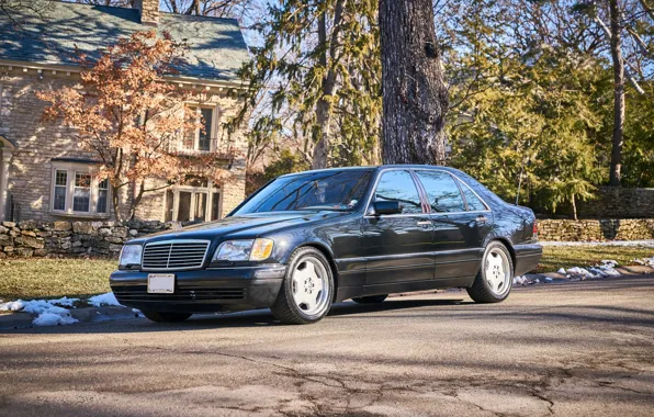 Picture Mercedes - Benz, W140, S600, 1999, Grand Edition