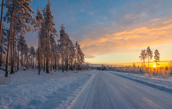 Picture winter, road, snow, trees, sunrise, dawn, morning, pine, Finland